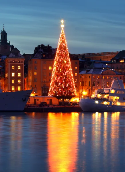 Stockholms Altstadt mit Weihnachtsbaum — Stockfoto